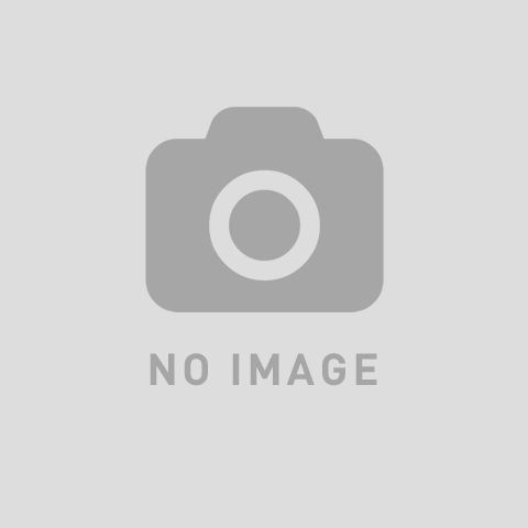 ホットとヨーガとアライグマ