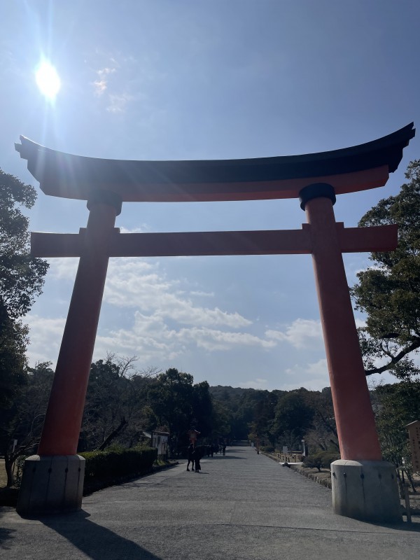 国東半島ヨガリトリート 報告とお誘い